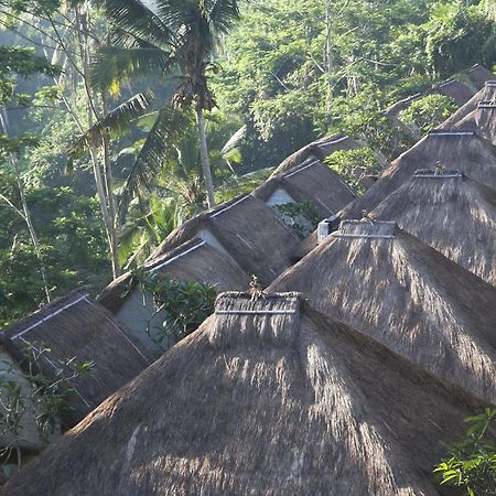 Tejaprana Resort & Spa Ubud  Exterior photo The roofs of the hotel