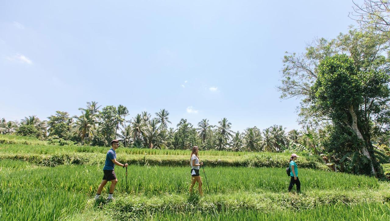 Tejaprana Resort & Spa Ubud  Exterior photo Trekking in Bali